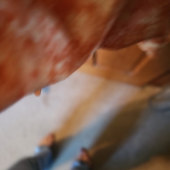 TALBOTS SILK DRESS! NEW OLD STOCK - Picture 4 of 7